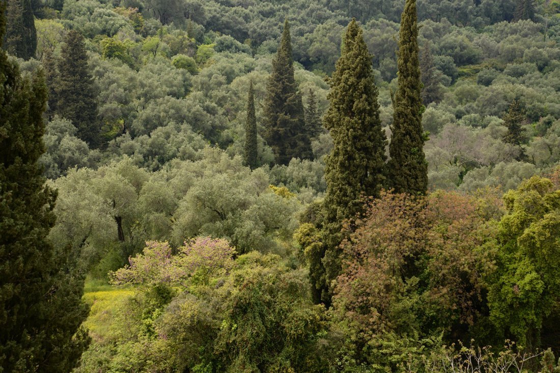 23000124alle tinten groen omgeving parga.jpg