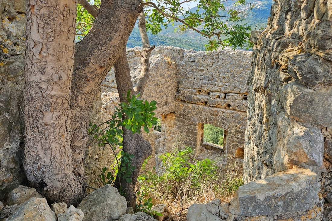 ali_pasja_24_ns (19).jpg