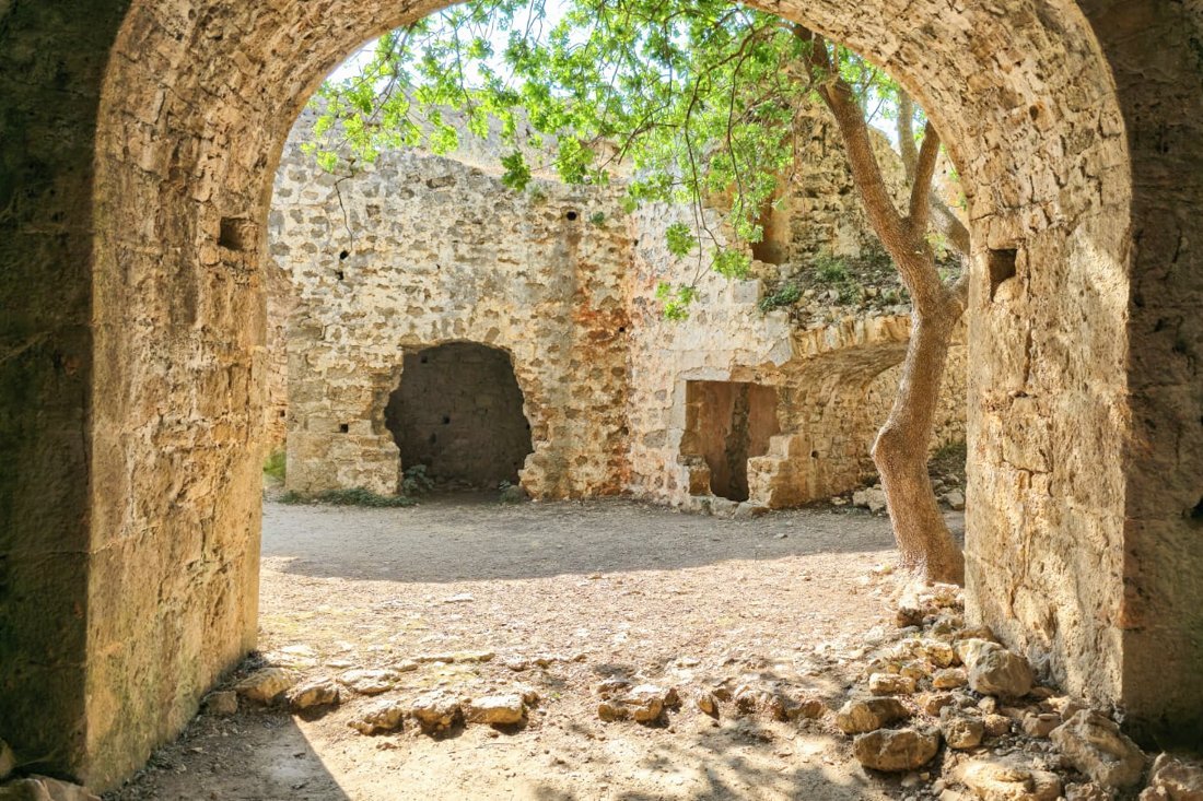 ali_pasja_24_ns (7).jpg