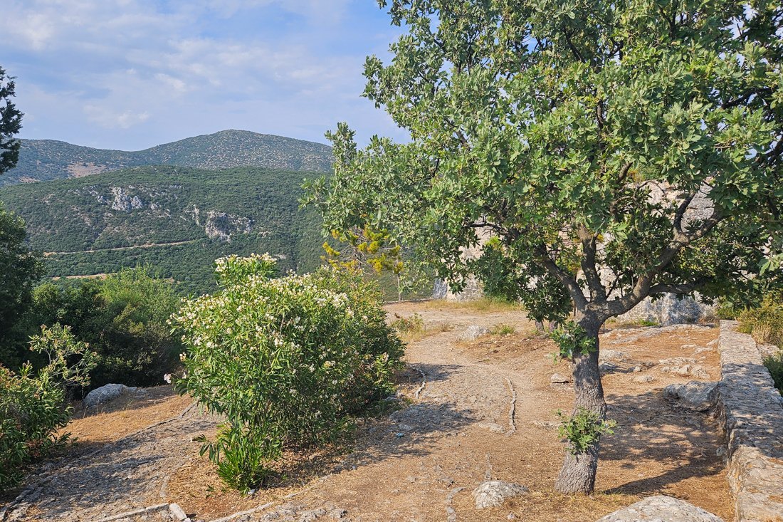 ali_pasja_24_ns (3).jpg