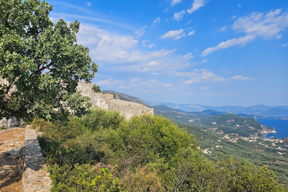 ali_pasja_24_ns (4).jpg