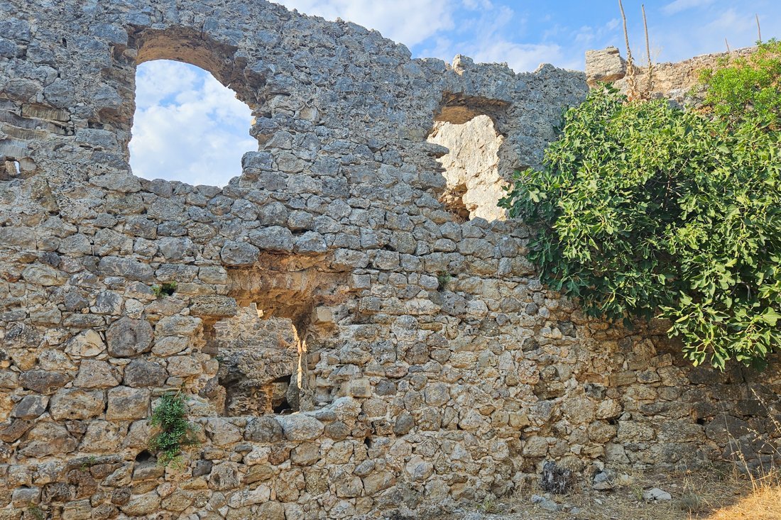 ali_pasja_24_ns (2).jpg