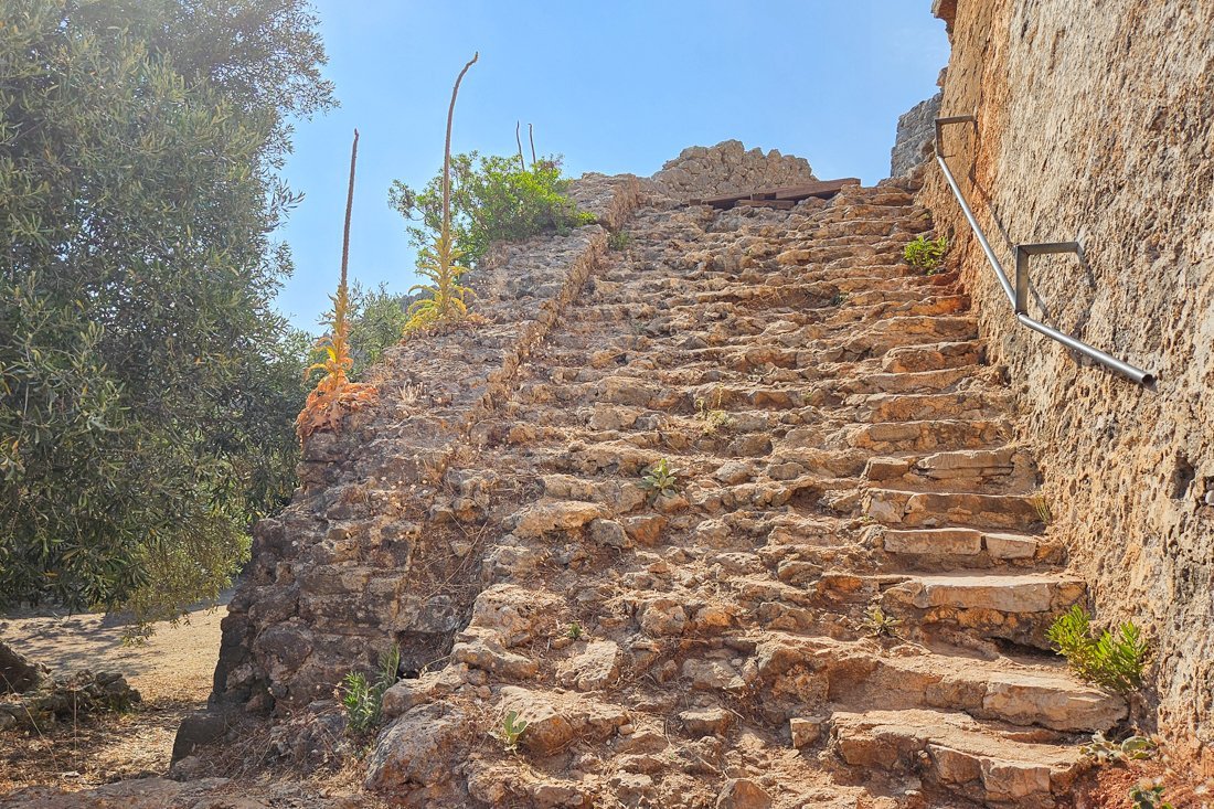 ali_pasja_24_ns (12).jpg