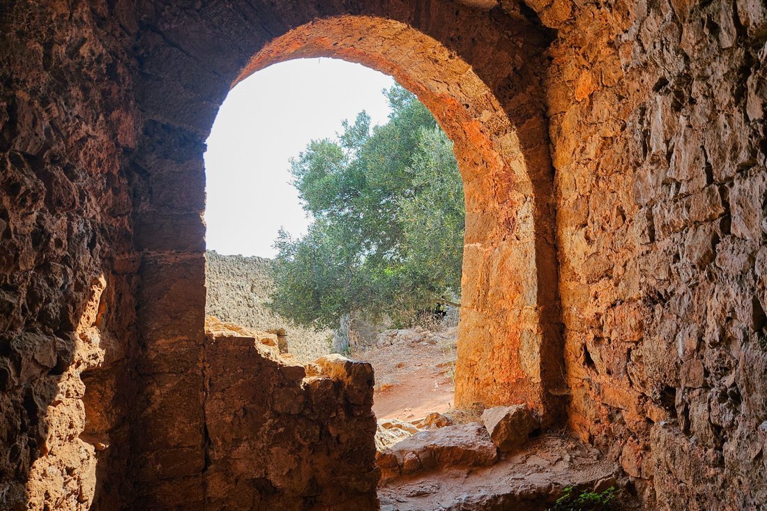 ali_pasja_24_ns (11).jpg