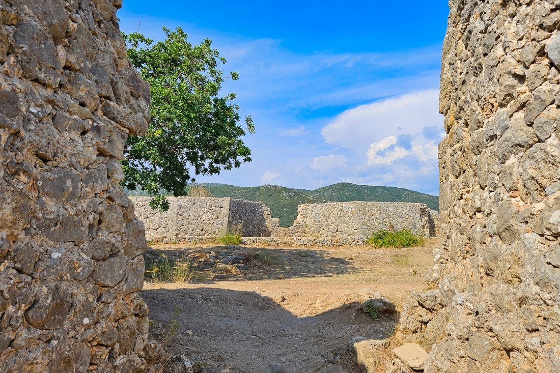 ali_pasja_24_ns (13).jpg