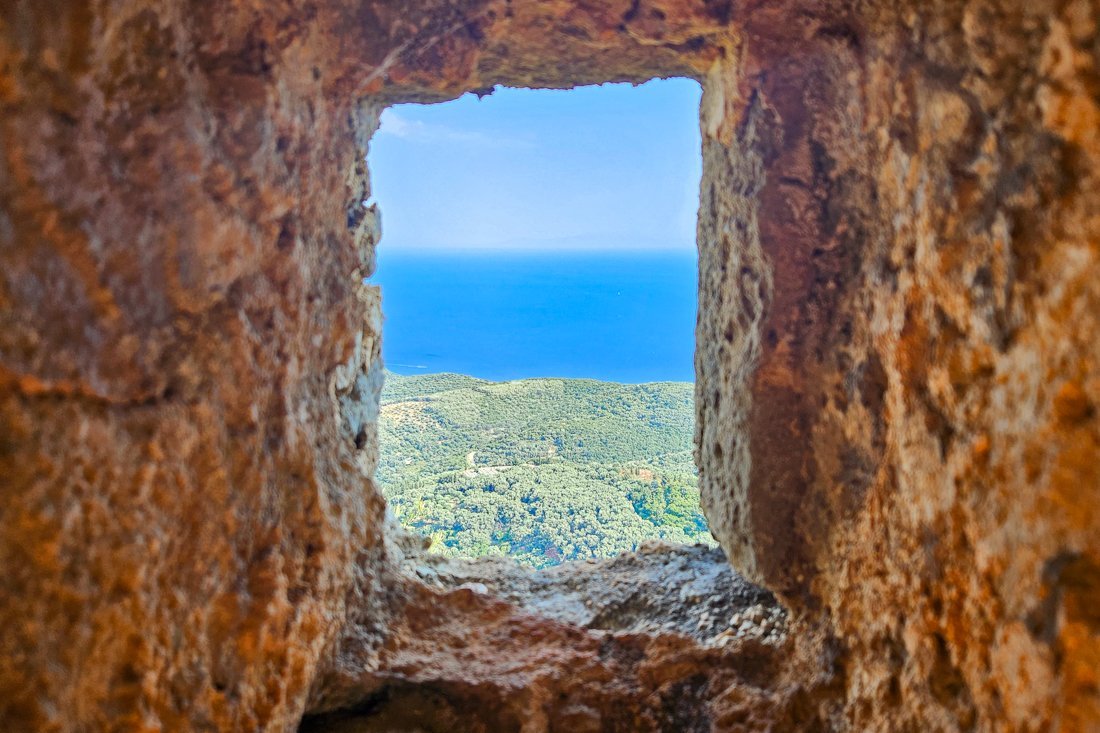 ali_pasja_24_ns (1).jpg