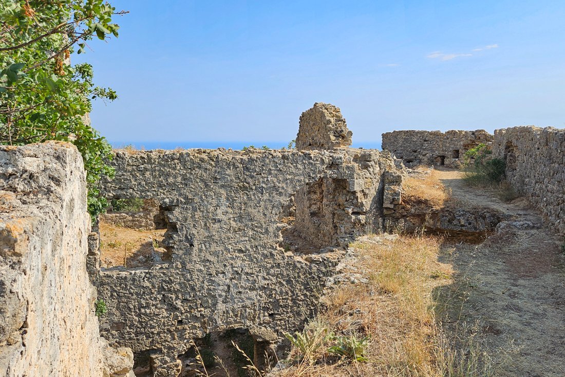 ali_pasja_24_ns (9).jpg