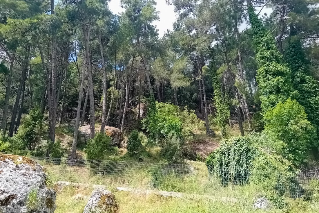 lf_fietsenlefkas_25_rl (1).jpg