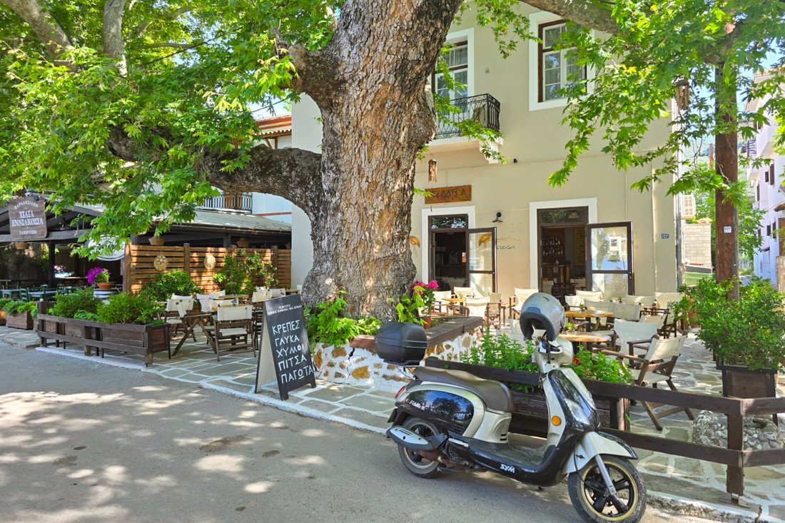 pi_kala_nera_25_ss (4).jpg