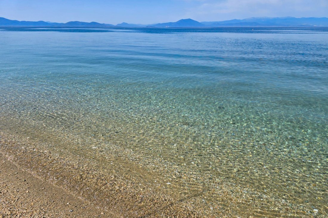 pi_kala_nera_25_ss (2).jpg