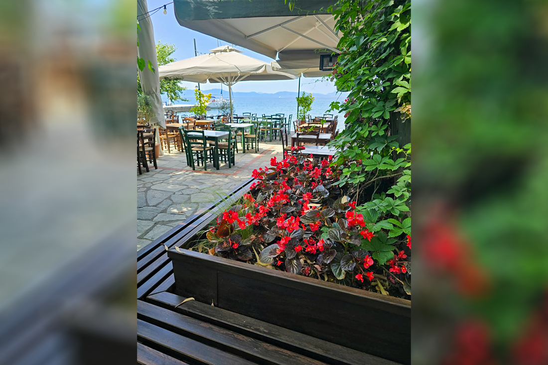 pi_kala_nera_25_ss (6).png