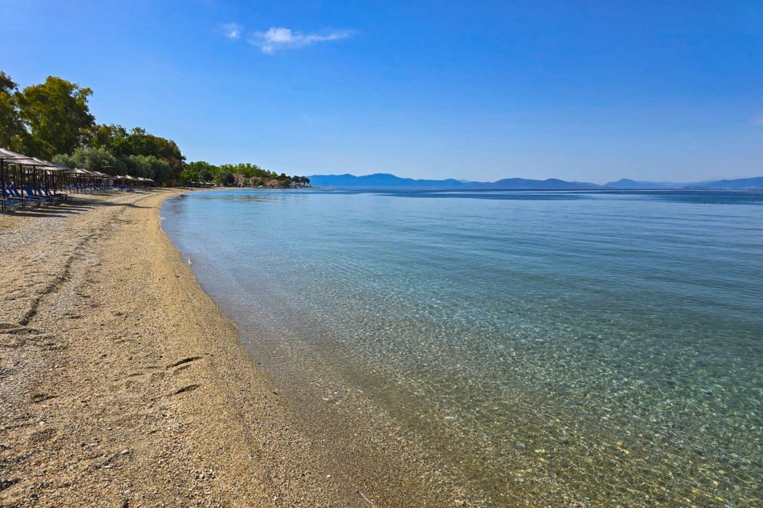 pi_kala_nera_25_ss (7).jpg