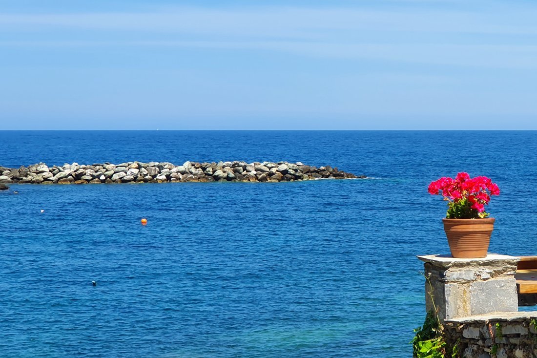 pi_damouchari_sn (3).jpg