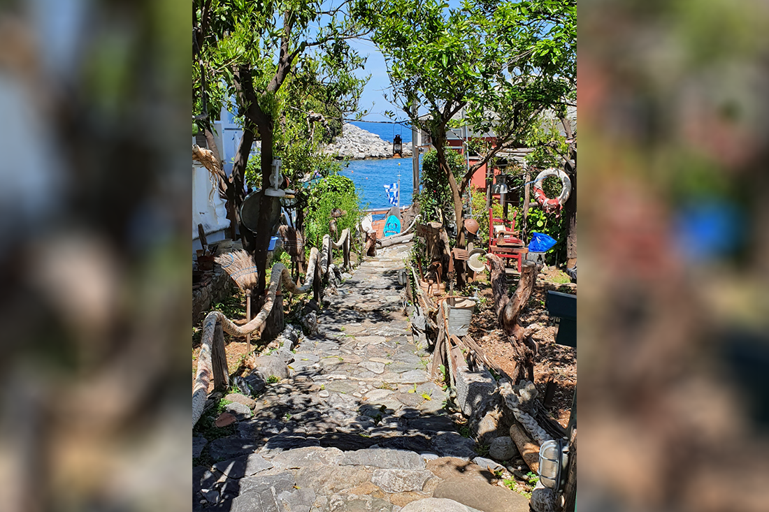 pi_damouchari_sn (1).png