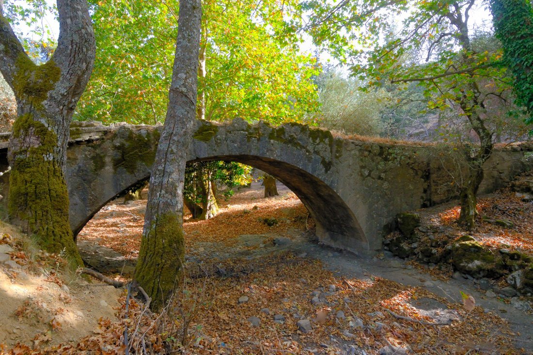 wk_agia_irini_branden_server_2013 (2).jpg