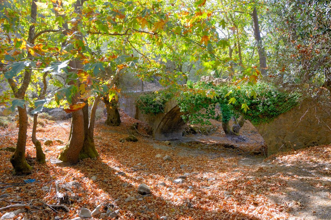 wk_agia_irini_branden_server_2013 (3).jpg