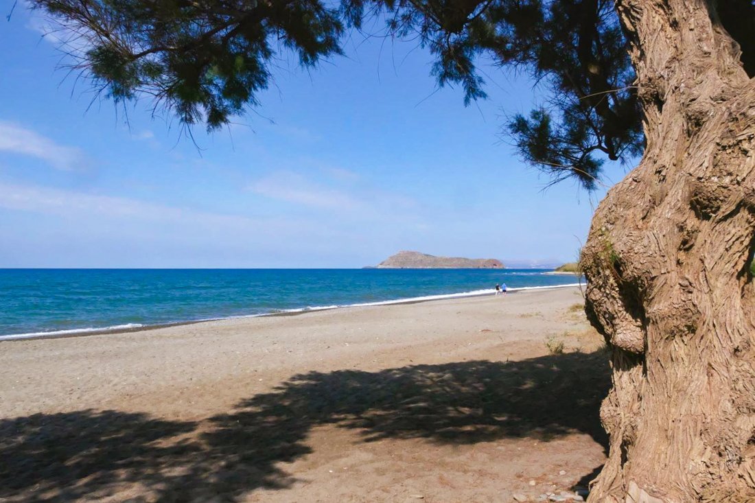 23003771prachtige boom bij gerani beach.jpg