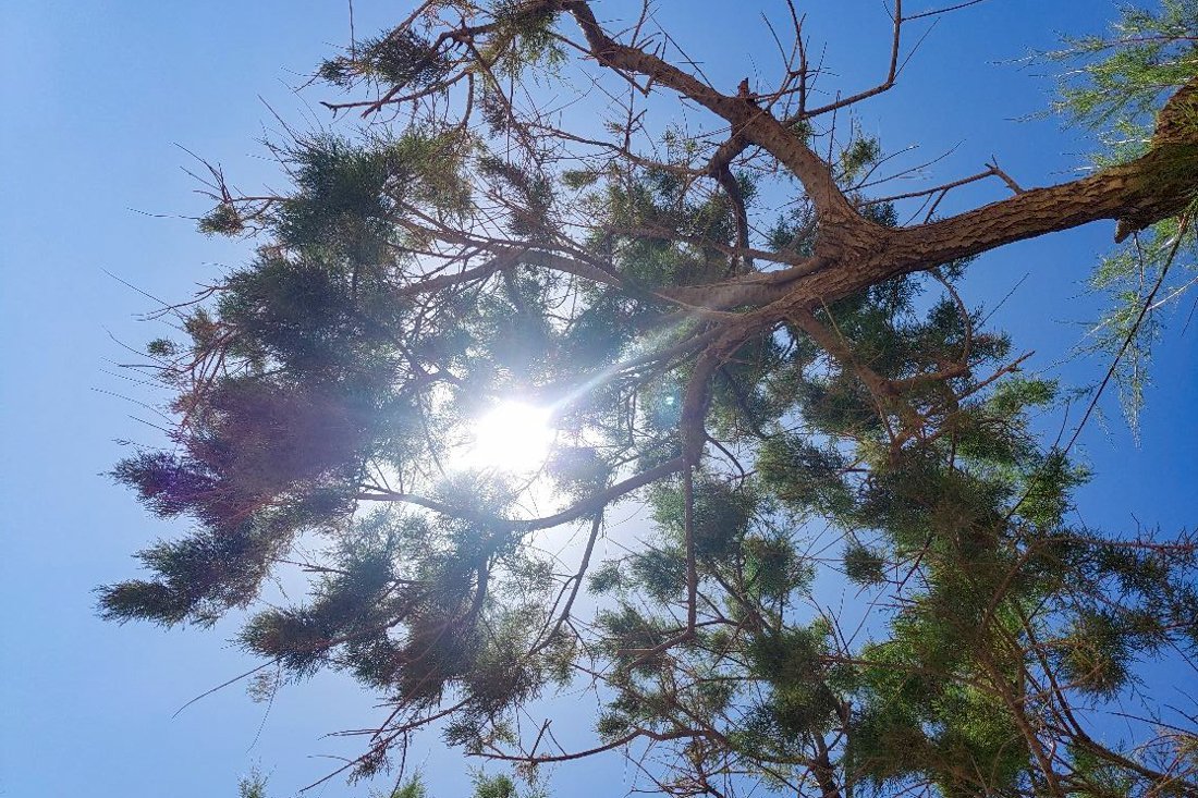 23003152west kreta juni 2024-2.jpg