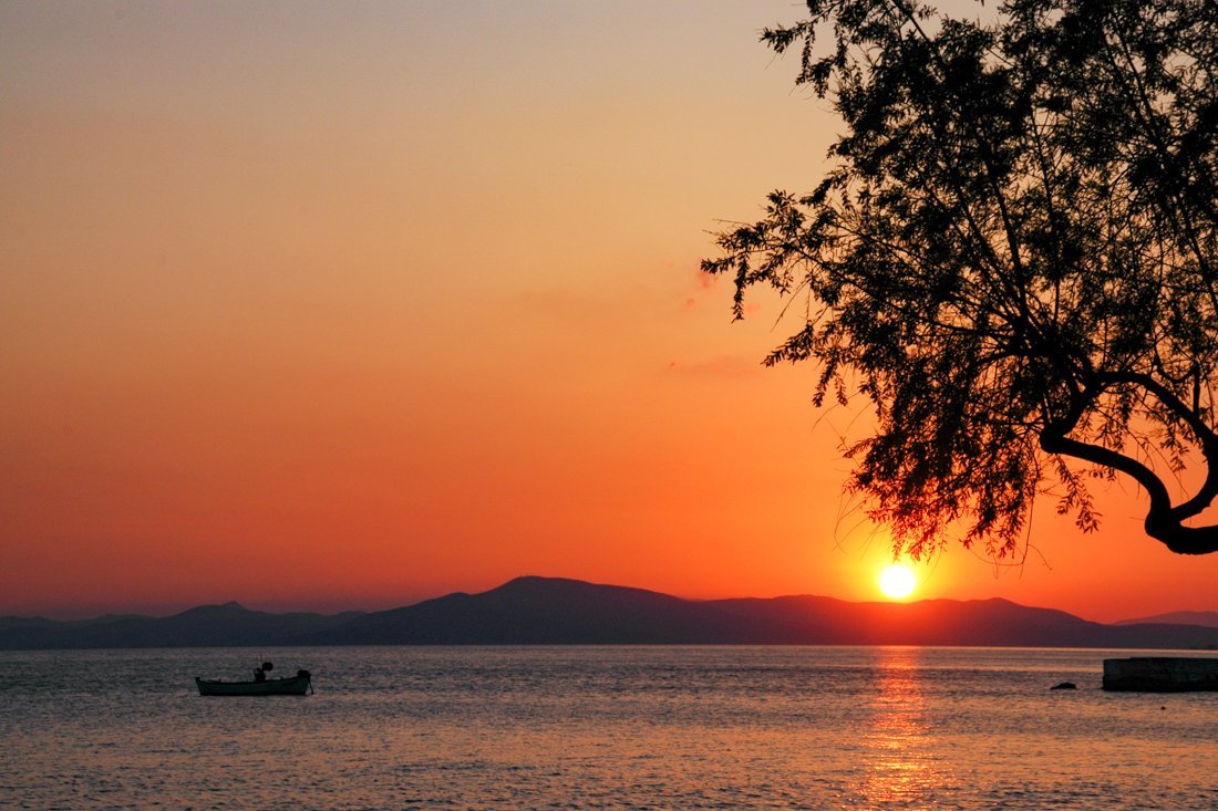 pi_afissos_fotogasten (3).jpg