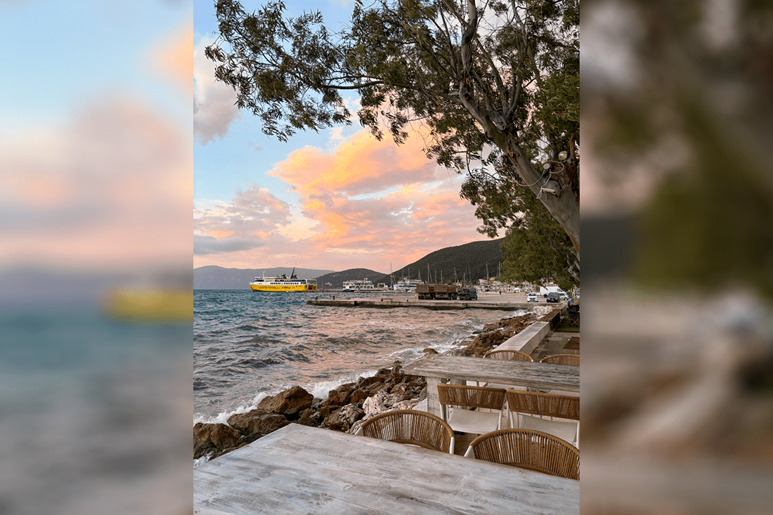 kf_familia_25_ovf (2).png