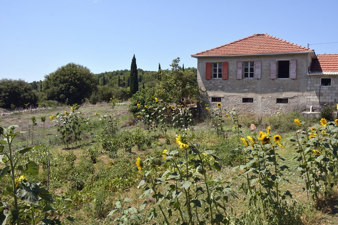 Knusse dorpjes Zakynthos