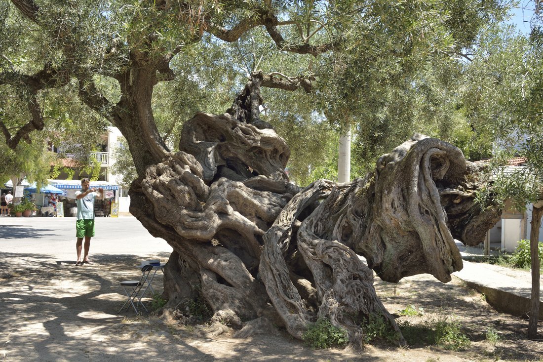 Knusse dorpjes Zakynthos