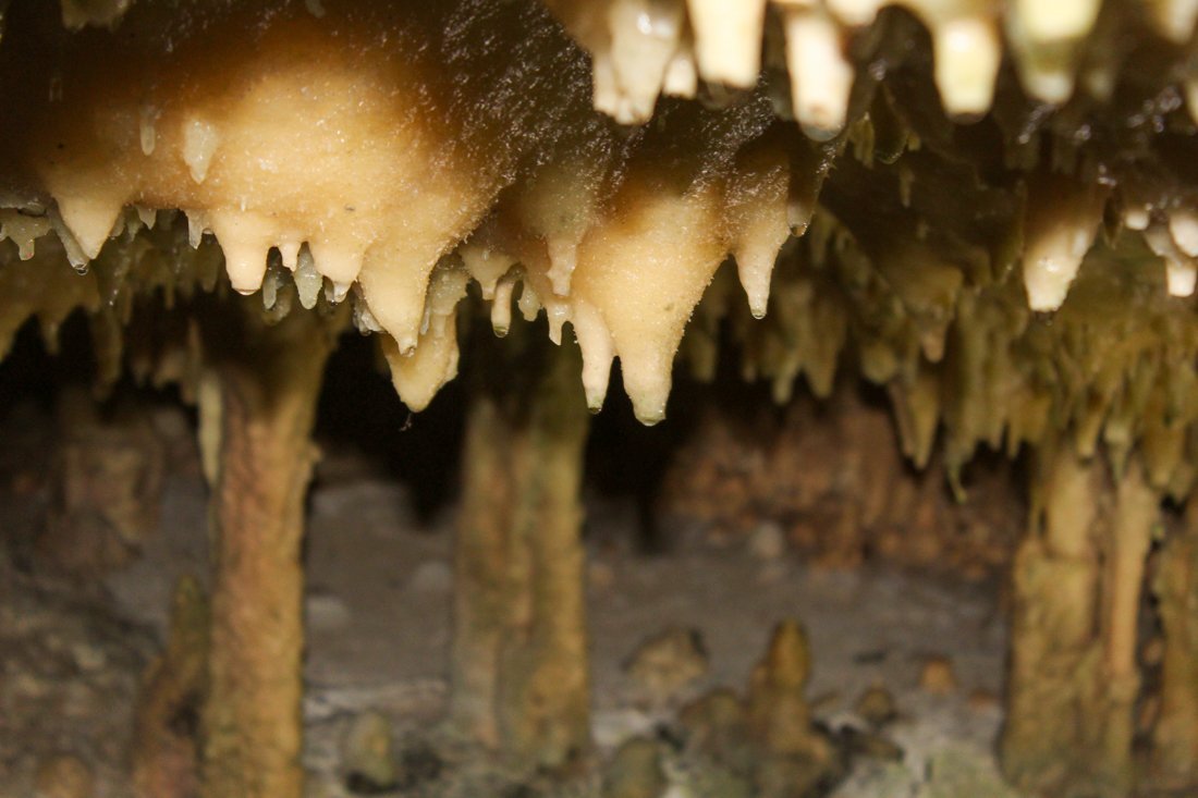 pe_diros_sj (14).jpg