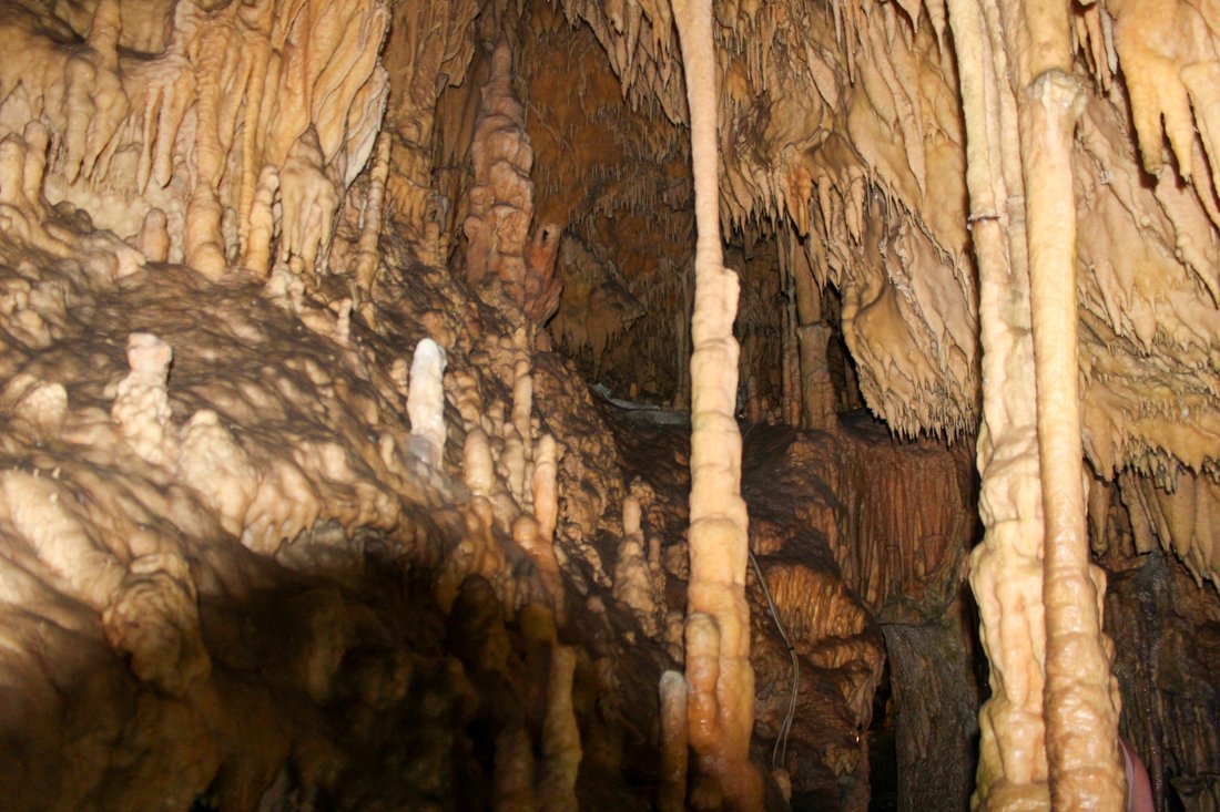 pe_diros_sj (13).jpg