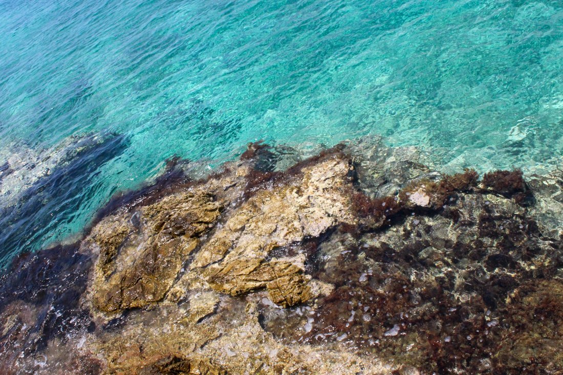 pe_diros_sj (19).jpg