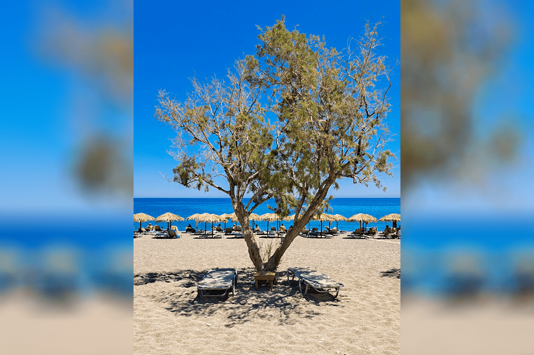 zc_paleochora_ovf_kcts (10).png