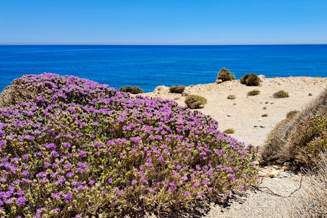 zc_paleochora_ovf_kcts (4).jpg