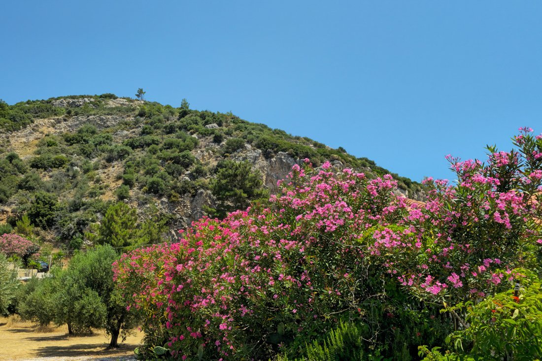 sa_balos_2025_cb (60).jpg