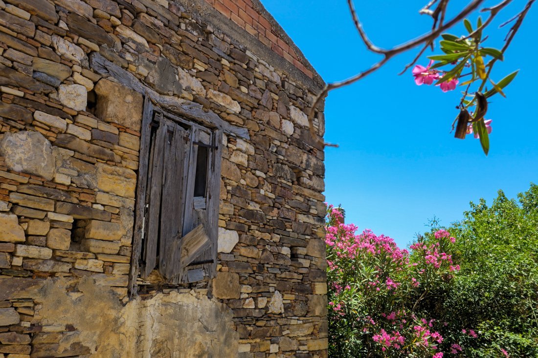 sa_koumeika_2025_cb (49).jpg