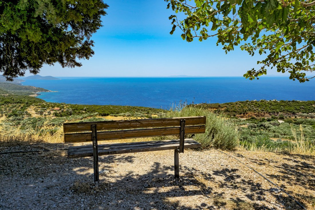 sa_koumeika_2025_cb (61).jpg