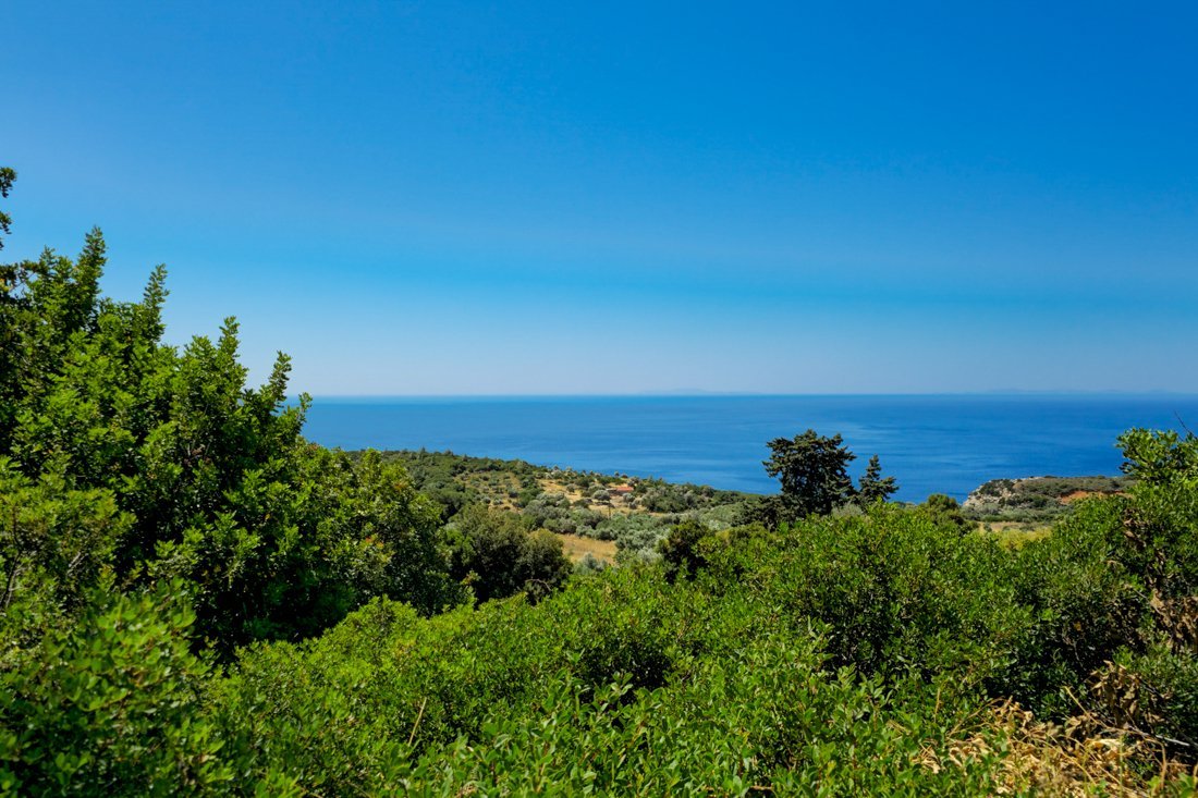 sa_koumeika_2025_cb (79).jpg