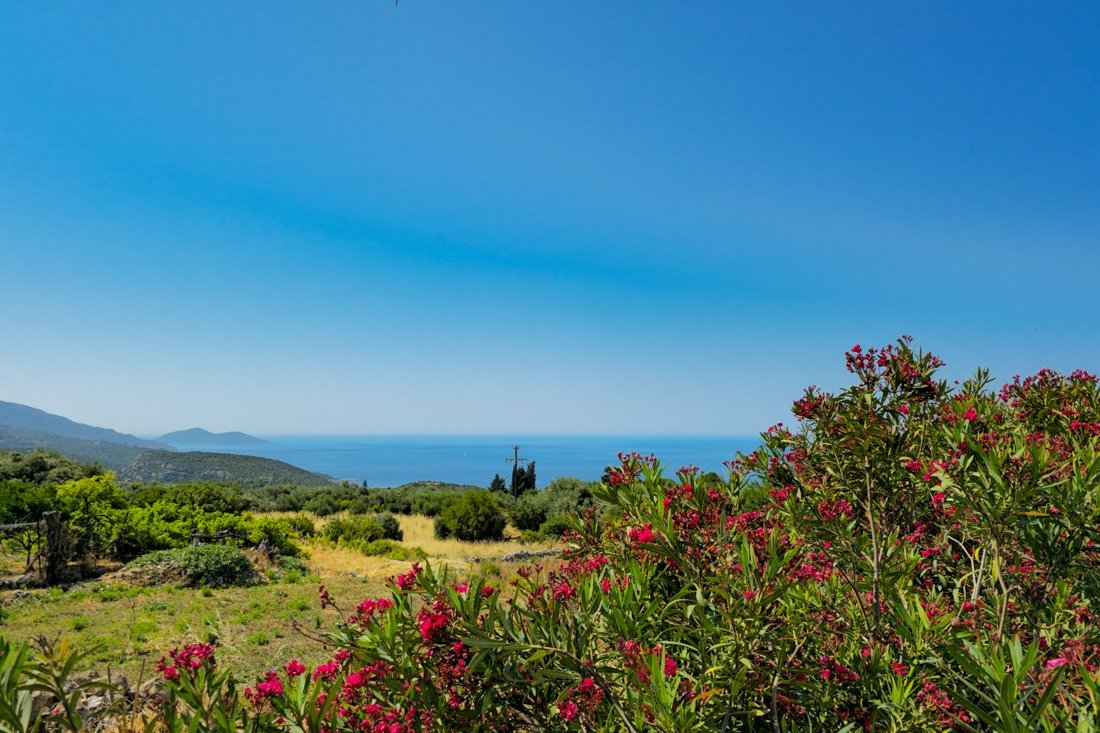 sa_koumeika_2025_cb (46).jpg