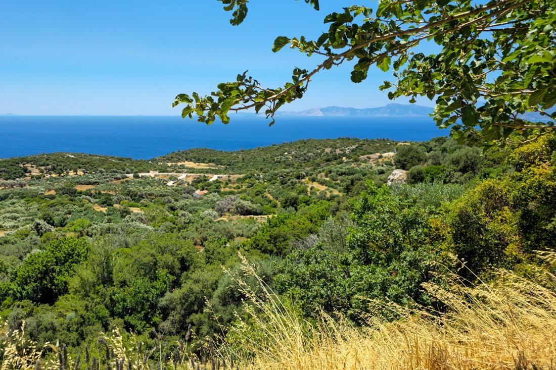 sa_koumeika_uitzicht_2025_cb (1).jpg