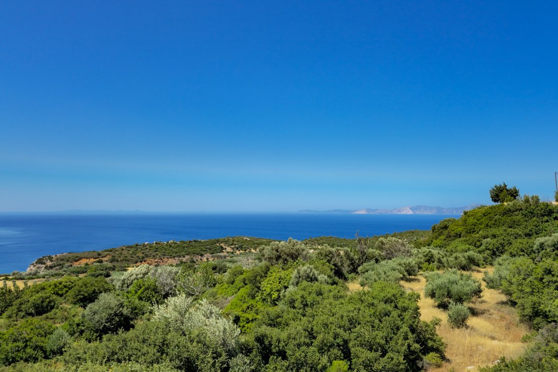 sa_koumeika_2025_cb (74).jpg