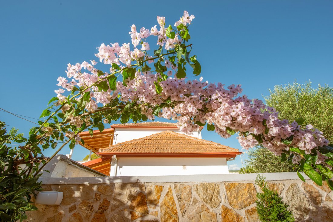 ep_mare_ext_25_ei (2).jpg