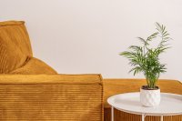 sa_villa angels_25_ei (16).jpg