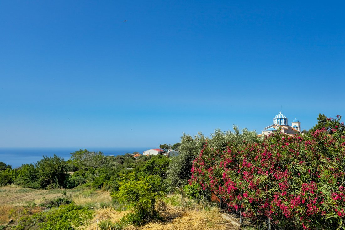 sa_koumeika_2025_cb (3).jpg