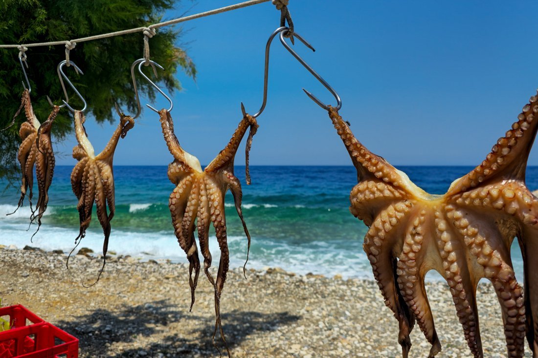 sa_agios_konstantinos_2025_cb (34).jpg