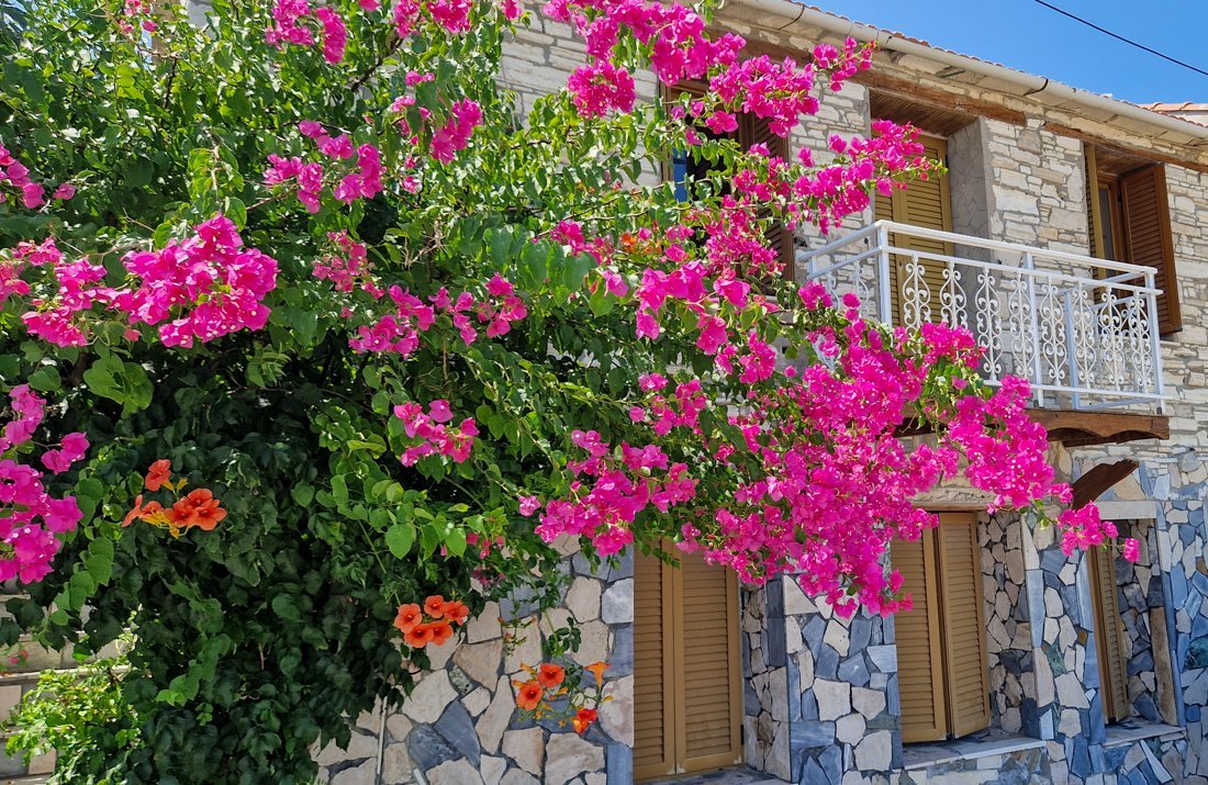 samos_ireon_24_cb (25).jpg