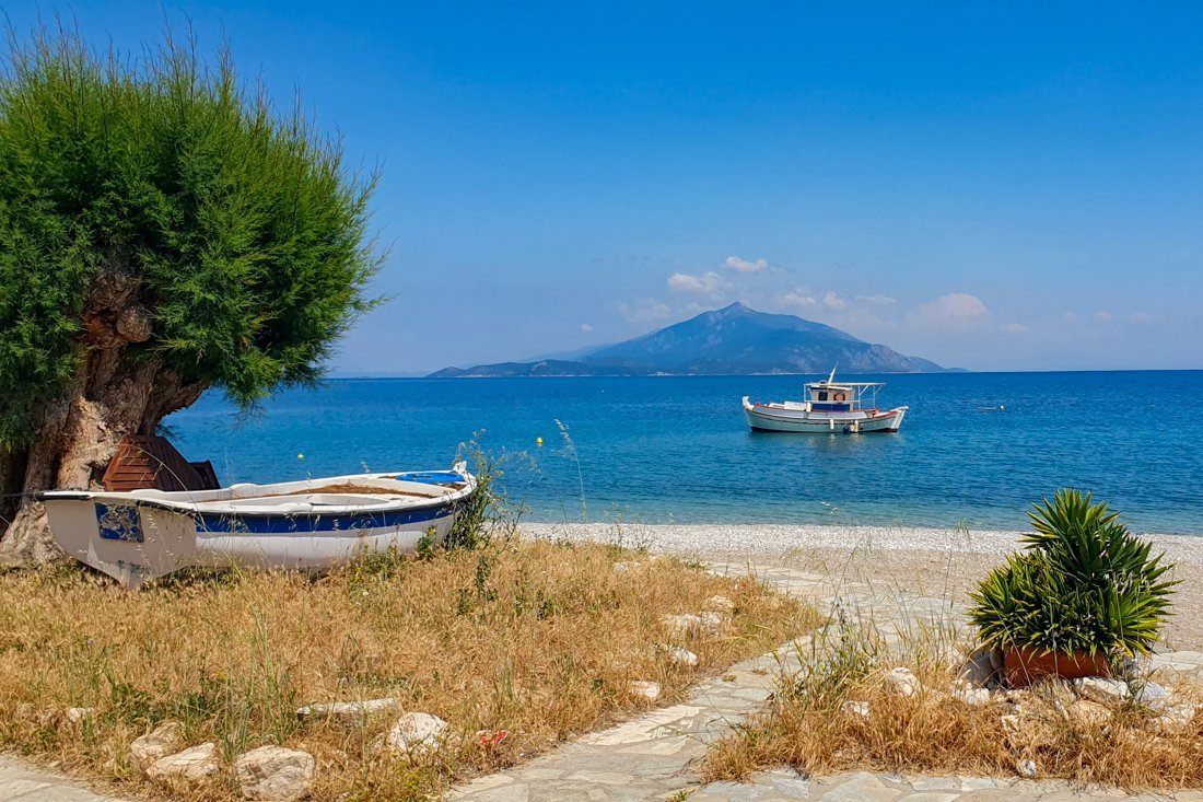 ireon_23_sn (8)-2.jpg