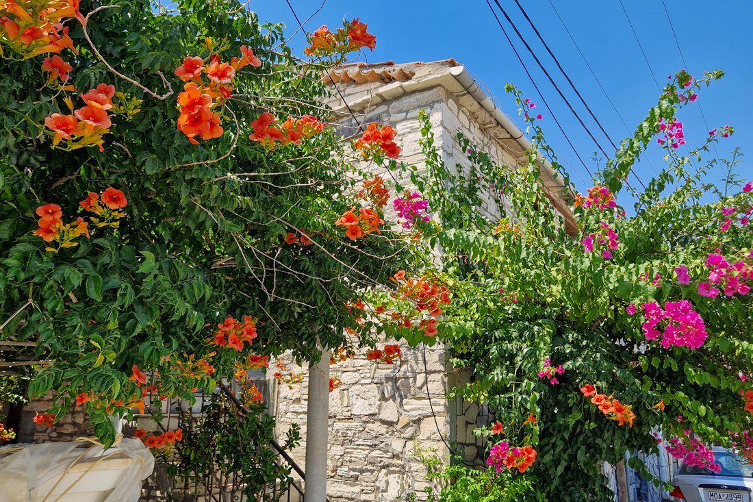 samos_ireon_24_cb (29).jpg