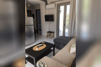 ak_dion_25_ei (3).png