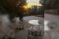 ak_dion_25_ei (2).png