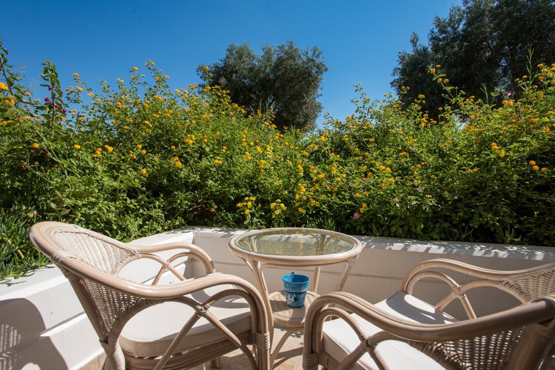 lybian mare_studio_ei (6).jpg