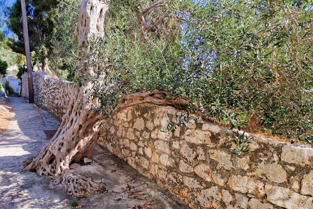 paxos_gaios_24_cb (64).jpg