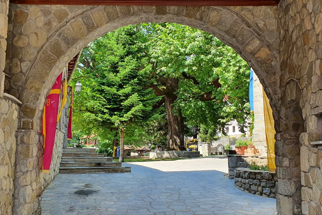metsovo_sn (2).jpg